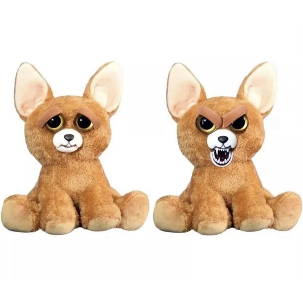 Feisty pets chihuahua dog